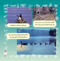 مجله خردسال 280 صفحه 22