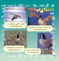 مجله خردسال 280 صفحه 21