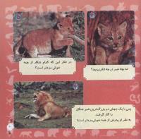 مجله خردسال 281 صفحه 21