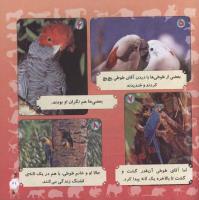 مجله خردسال 282 صفحه 21
