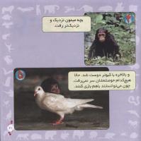 مجله خردسال 283 صفحه 21
