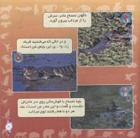 مجله خردسال 284 صفحه 21