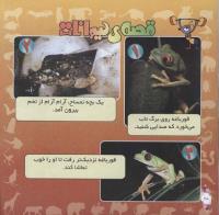 مجله خردسال 284 صفحه 20