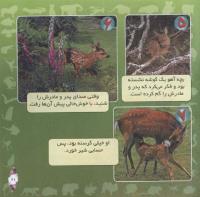 مجله خردسال 285 صفحه 21