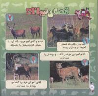 مجله خردسال 285 صفحه 20