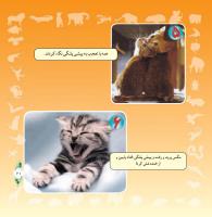 مجله خردسال 290 صفحه 21