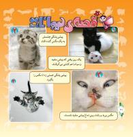 مجله خردسال 290 صفحه 20