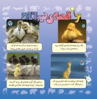 مجله خردسال 292 صفحه 20