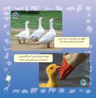 مجله خردسال 292 صفحه 21