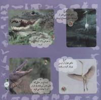 مجله خردسال 303 صفحه 21