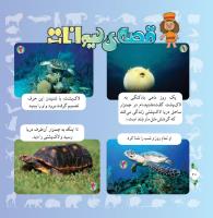مجله خردسال 304 صفحه 20