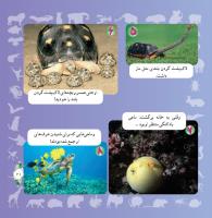 مجله خردسال 304 صفحه 21