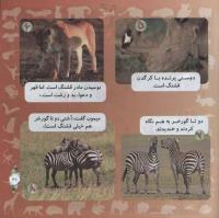 مجله خردسال 307 صفحه 21