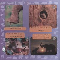 مجله خردسال 309 صفحه 21