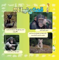 مجله خردسال 322 صفحه 20