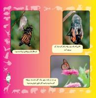 مجله خردسال 323 صفحه 21