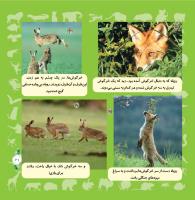 مجله خردسال 326 صفحه 21