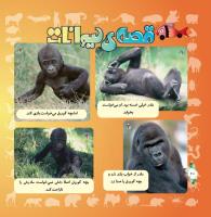 مجله خردسال 327 صفحه 20