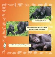 مجله خردسال 327 صفحه 21