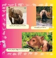 مجله خردسال 328 صفحه 21