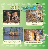 مجله خردسال 329 صفحه 20