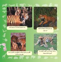 مجله خردسال 329 صفحه 21