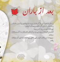 مجله خردسال 329 صفحه 16