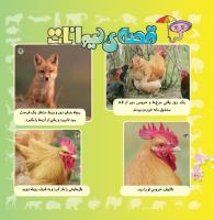 مجله خردسال 331 صفحه 20