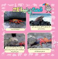 مجله خردسال 332 صفحه 20