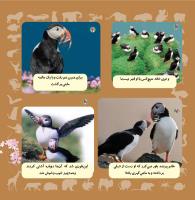 مجله خردسال 333 صفحه 21