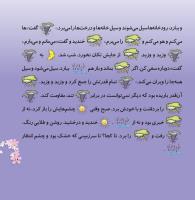 مجله خردسال 333 صفحه 19