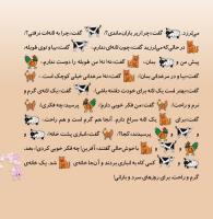 مجله خردسال 334 صفحه 19