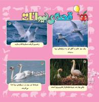 مجله خردسال 334 صفحه 20