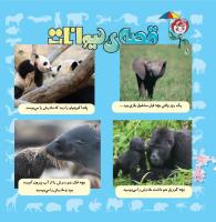 مجله خردسال 336 صفحه 20