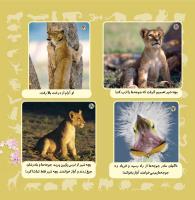 مجله خردسال 337 صفحه 21