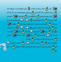 مجله خردسال 338 صفحه 19