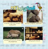 مجله خردسال 338 صفحه 20
