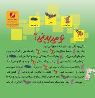 مجله خردسال 341 صفحه 18