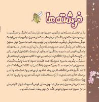 مجله خردسال 342 صفحه 8