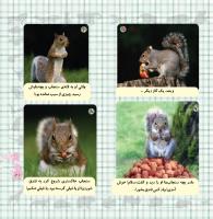 مجله خردسال 342 صفحه 21