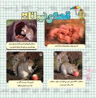 مجله خردسال 342 صفحه 20