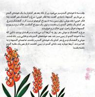 مجله خردسال 345 صفحه 6