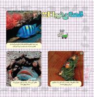 مجله خردسال 346 صفحه 20