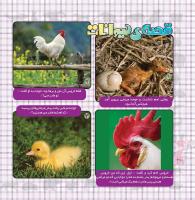 مجله خردسال 348 صفحه 20