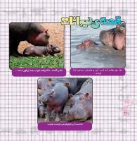 مجله خردسال 355 صفحه 20