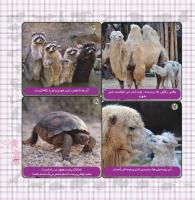 مجله خردسال 365 صفحه 23
