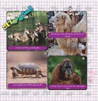 مجله خردسال 365 صفحه 22