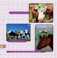 مجله خردسال 377 صفحه 23