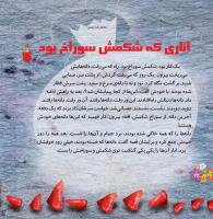مجله خردسال 382 صفحه 18