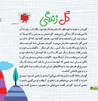مجله خردسال 385 صفحه 4